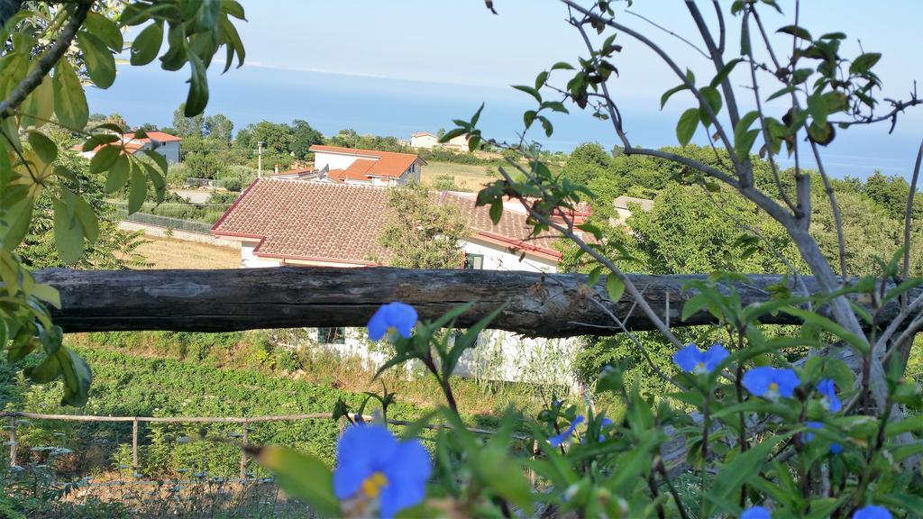 Agriturismo Agri Armonia San Lucido Exterior photo